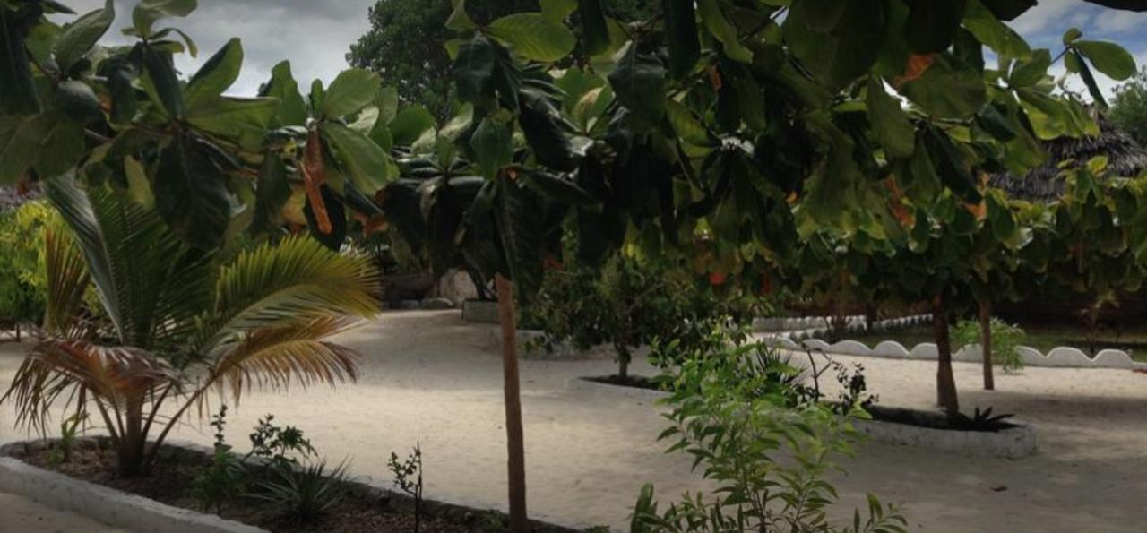 Mfumbwi Lodge Jambiani  Exterior photo