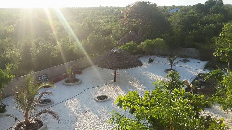 Mfumbwi Lodge Jambiani  Exterior photo